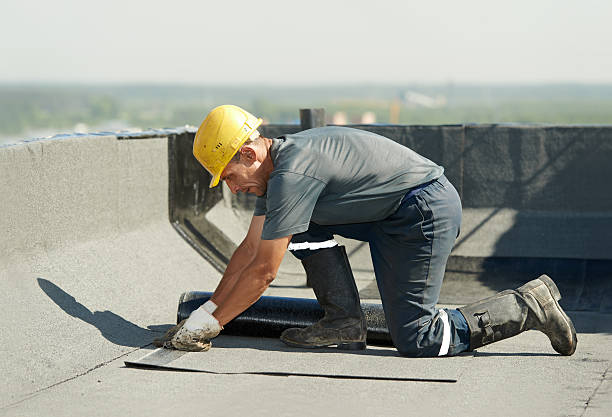 Best Insulation Maintenance and Repair in Necedah, WI