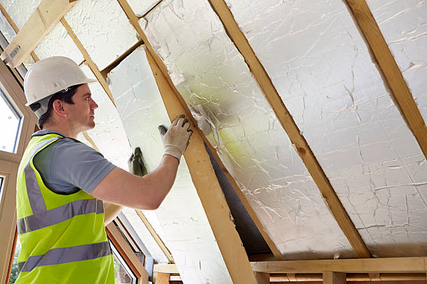 Best Commercial Insulation in Necedah, WI